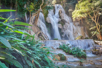 Beautiful waterfalls in the forest
