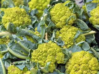 Bulk broccoli displayed for sale in the market