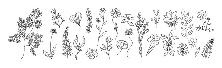 Set of tiny wild flowers and plants line art vector botanical illustration on transparent background. Trendy greenery hand drawn black ink sketches collection. Modern design logo, tattoo, wall art.