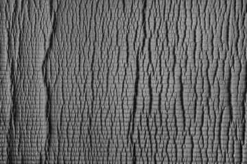 Wrinkle Texture