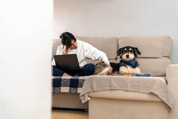 A woman sits on her couch deeply focused on her laptop, while her dog sits beside her, creating a...
