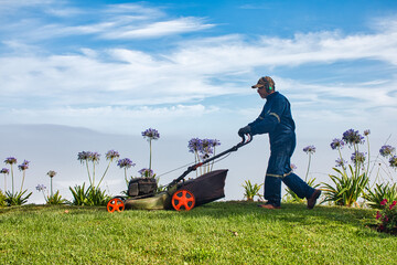 Gardening worker mowing the lawn on a hill with flowers and sky in the background.