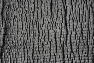 Wrinkle Matt Texture