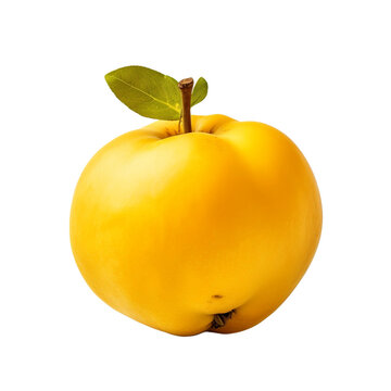 Quince isolated on transparent background