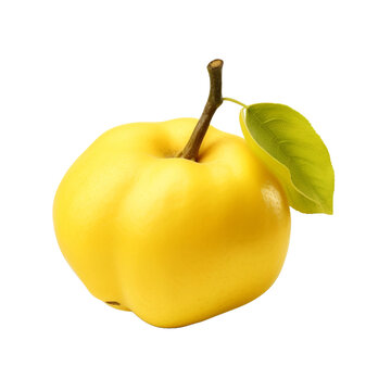 Quince isolated on transparent background