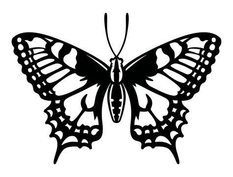 Monochrome vector drawing of papilio machaon. Common yellow swallowtail.