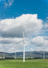 Modern windmills amidst a lush field against a clear sky for green energy - 748950581