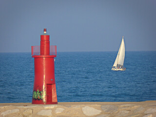 mare
