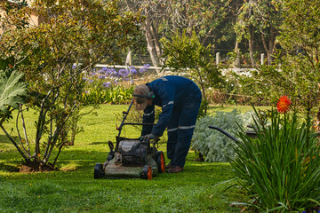 Yard worker mowing grass with lawn mower in garden. Lawn maintenance.