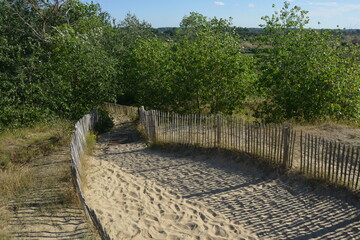 Dunes on the Belgian coast