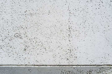 Concrete Texture Wall with Spots