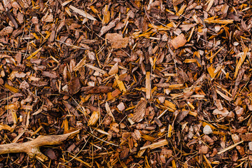 Bark Mulch Texture