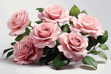 Obraz premium Pink Rose Flower isolated watercolor illustration painting