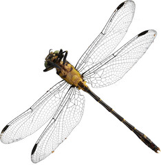 LAYER-LAB_2706223956_LC © Layer-Lab