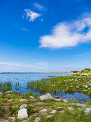 Landschaft an der Ostseeküste auf der Insel Öland in Schweden - 748962319
