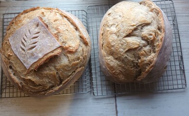 fresh souroughbread sauerteig brot