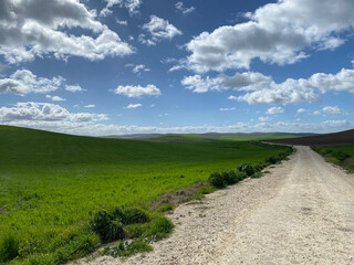 Campi&ntilde;a cordobesa.