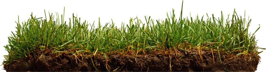 LAYER-LAB_2805220190F_LC