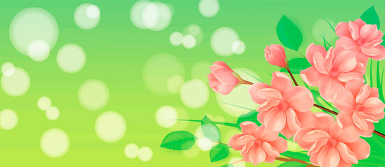 Spring banner with delicate flowers, green background and place for inscription. The colorful illustration in warm colors is sure to suit your design. For posters, banners, flyers and brochures.