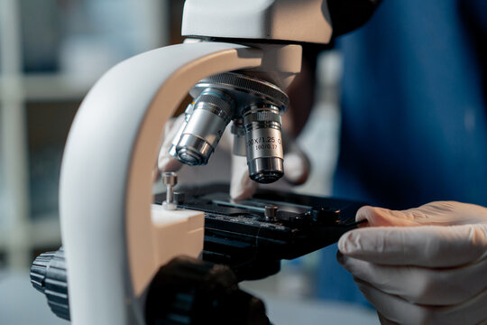 close-up in veterinary clinic the doctor puts a piece of glass under a microscope