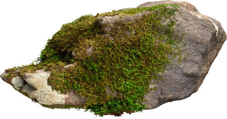 A Gray Rock with Green Moss- Ready to use PNG Cutout Premium Isolated Image