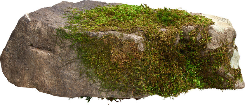 Mossy rock boulder side view isolated on transparent background