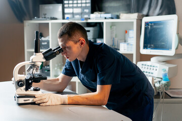 in a veterinary clinic a veterinarian doctor checks a smear for infections