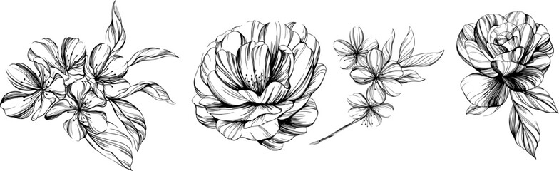 Set of hand drawn flowers. Black and white floral collection illustration.