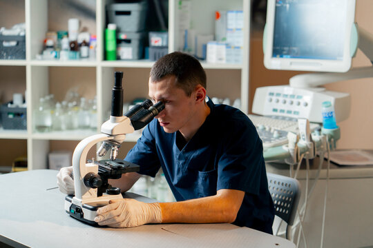 in a veterinary clinic a veterinarian doctor checks a smear for infections
