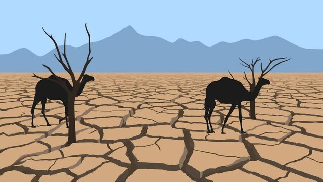 Animation with camels walking on the cracking dry earth (seamless loop)