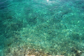The water is clear and calm, with a rocky shoreline