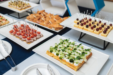 Beautifully decorated banquet catering table, with variety of with different food snacks appetizers on corporate birthday party event or wedding celebration, canape, salad, delicatessen setting