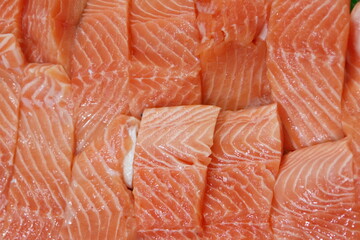 A close up of a piece of salmon with the skin still on - 748987922