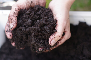 A person is holding a handful of dirt - 748988115