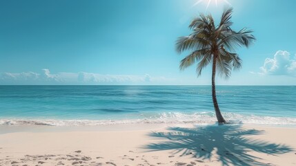 sandy beach, with clear blue skies, sparkling water, and a single palm tree casting a shadow
