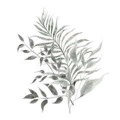 Watercolor hand draw bouquet with sage green leaves and branch, isolated on white background - obrazy, fototapety, plakaty