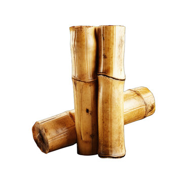 Piece of bamboo trunk png