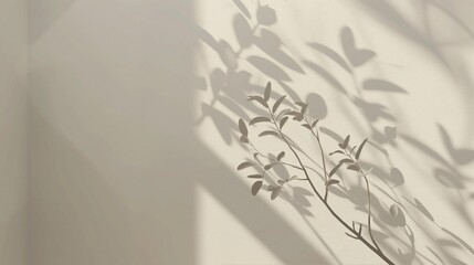 Plant shadow on wall creates leaf pattern, obstructing light source. Calm, artistic quality. No actual plant, just shadow.