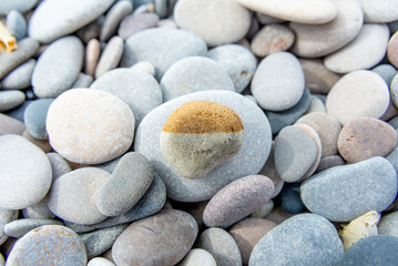 Fototapeta na wymiar Bicolored Round Stone Centered Amongst Gray Pebbles