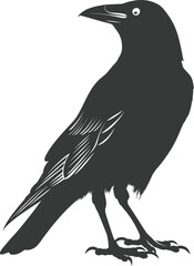 Silhouette crow bird black color only full body