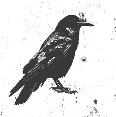 Silhouette crow bird black color only full body