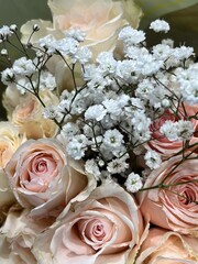 Pale Pink Roses and Baby's Breath