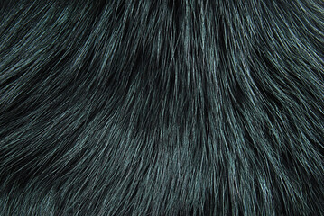 Dark green fur texture as background