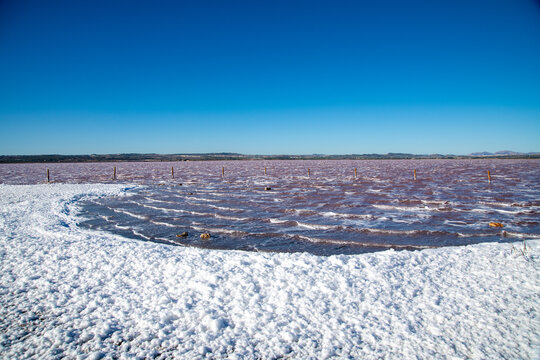 Contrasting Salt Crust, Foam and Pink Waters of Torrevieja Lake