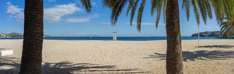 Palm Trees Frame the Sandy Shore of a Beach with a Lifeguard Tower in the Distance