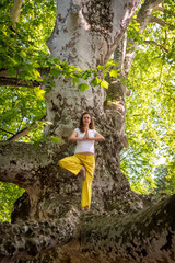 Beautiful woman with gorgeous curly hair doing yoga in nature, on huge old plane tree, dressed in white and yellow combination, concept: active healthy life, in love with nature, support, balance