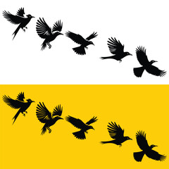 SILHOUETTE SET OF FLYING BIRDS ISOLATED ON WHITE AND YELLOW BACKGROUND VECTOR