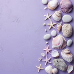 seashells purple background.
