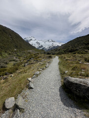 Fototapeta na wymiar Trail and Mt Sefton, Mt Cook National Park, New Zealand