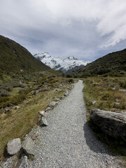 Obraz premium Trail and Mt Sefton, Mt Cook National Park, New Zealand